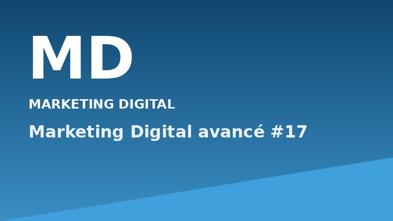 Marketing Digital avancé #17