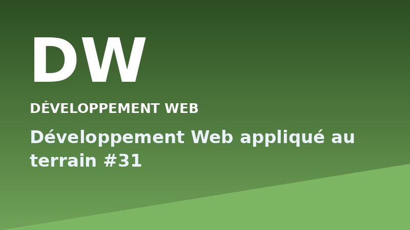 Développement Web appliqué au terrain #31