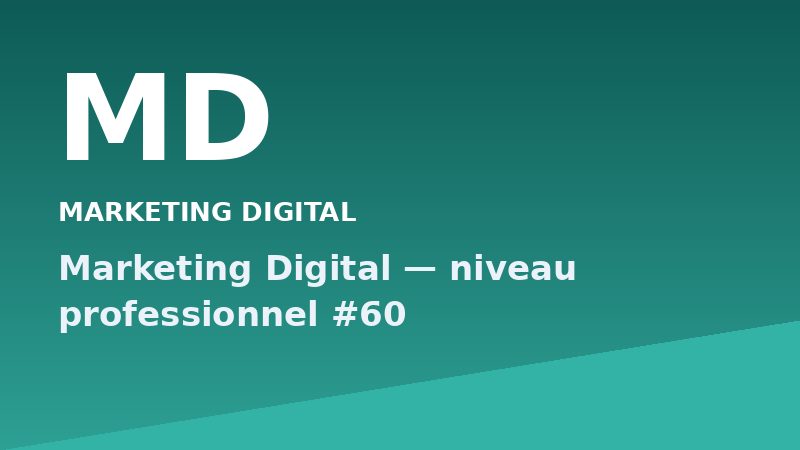 Marketing Digital — niveau professionnel #60