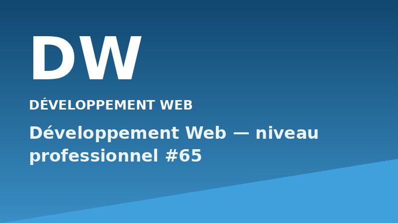 Développement Web — niveau professionnel #65