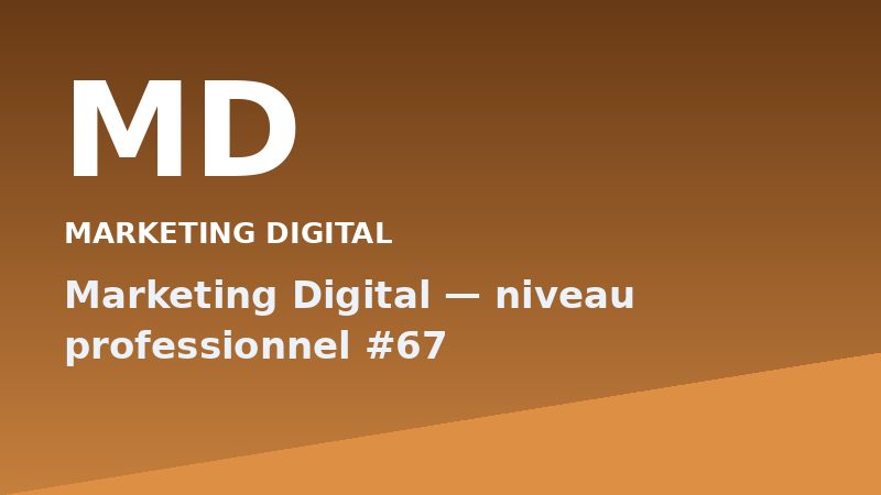Marketing Digital — niveau professionnel #67