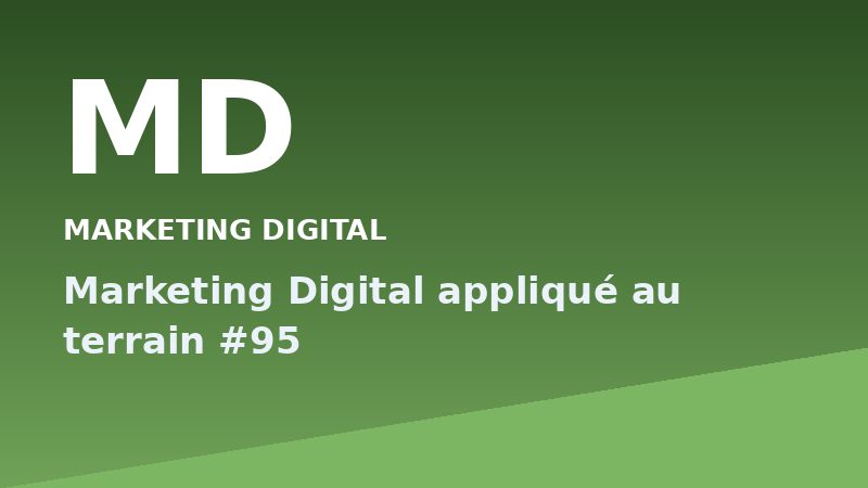 Marketing Digital appliqué au terrain #95