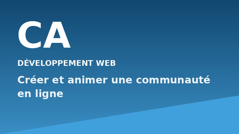 Créer et animer une communauté en ligne